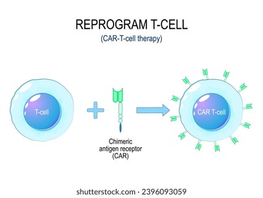 Terapia de cáncer de células CAR-T. Proceso de reprogramación de una celda T. Inmunoterapia de un receptor de antígenos quimérico. Tratamiento contra el cáncer. Ingeniería genética. ilustración vectorial