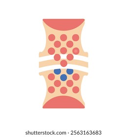 Cartilage Tissue Anatomy for Scientific Understanding