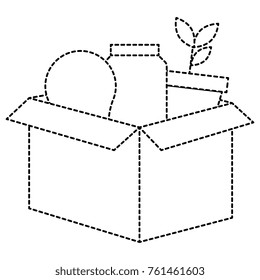 carton box with bulb and plant