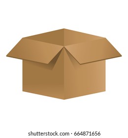 carton box design