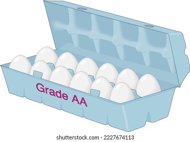 Carton of Eggs Vector Illustration