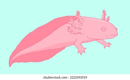 cartoon about the pink sea of the axolotl. drawn in the style of a sketch, they represent an isolated element of a marine aquarium amphibian reptile with a pink tail and paws on blue