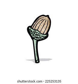 cartoon acorn
