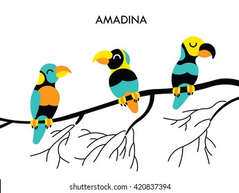 Cartoon african Amadina birds. Vector cartoon african birds made in flat style. Isolated wild african birds. Cartoon african birds background. Amadina african bird.