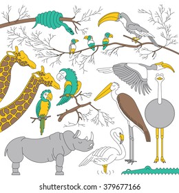 Cartoon african animals and birds set. Vector cartoon african animals and birds made in flat style. Isolated cartoon african animals and birds separately grouped. Cartoon african animals background.