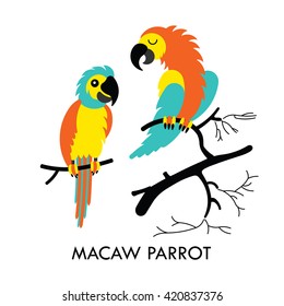 Cartoon african Macaw birds. Vector cartoon african Macaw birds made in flat style. Isolated wild african parots Cartoon wild african parrots background. Vector african Macaw Parrot.