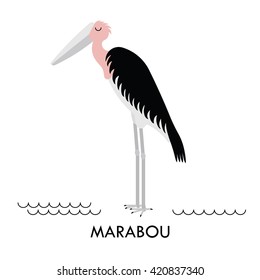 Cartoon african Marabou bird. Vector cartoon african bird made in flat style. Isolated wild african Marabou. Cartoon wild african bird background. 