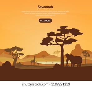 Cartoon African Savannah Card Poster and Text Landscape Background Tourism and Travel Elements Nature Scene Concept Flat Design. Vector illustration