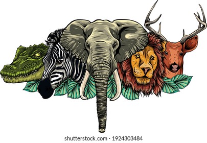 Cartoon african wild animals on white background