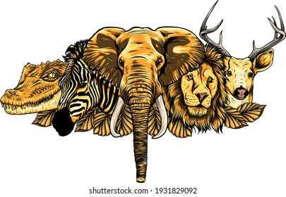 Cartoon african wild animals on white background