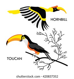 Cartoon african wild birds. Vector african birds made in flat style. Isolated wild african Toucan and Hornbill. Cartoon wild birds african background. Isolated vector Toucan. Isolated vector Hornbill.