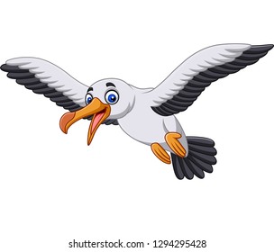 Cartoon Albatross Bird Flying