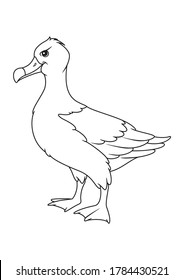 Cartoon albatross coloring page for kids