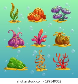 Cartoon algae vector set