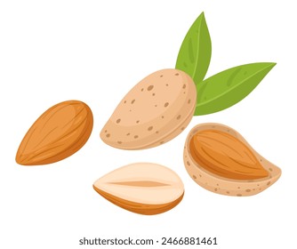 Cartoon almonds. Delicious tasty almond snack, raw almonds in shell flat vector illustration. Crunchy almond nuts on white