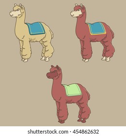 Cartoon Alpaca