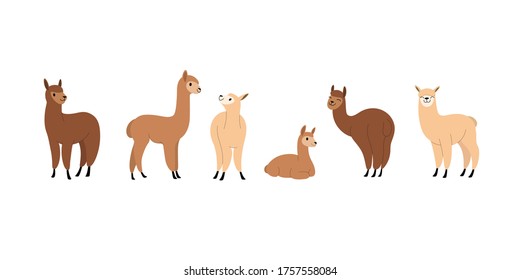 Cartoon alpaca. Сute animals set of icons.