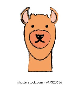 cartoon alpaca icon