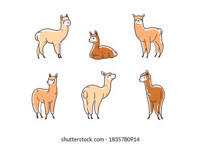 Cartoon alpaca in various poses. Сute animals set of icons.