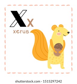 Cartoon Alphabet letter X for Xerus for teaching kids to read and write with upper and lower case text alongside a cute little Xerus or African ground squirrel with bushy tail, vector illustration