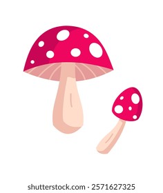 Cartoon Amanita muscaria (fly agaric) mushroom icon. Wild forest mushrooms in autumn, isolated vector illustration.