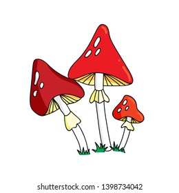Cartoon Amanita muscaria (fly-agaric) mushrooms group. Wild forest poisonous mushrooms in autumn, isolated vector illustration