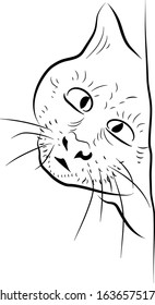 Cartoon amazed cat. Sketch style.