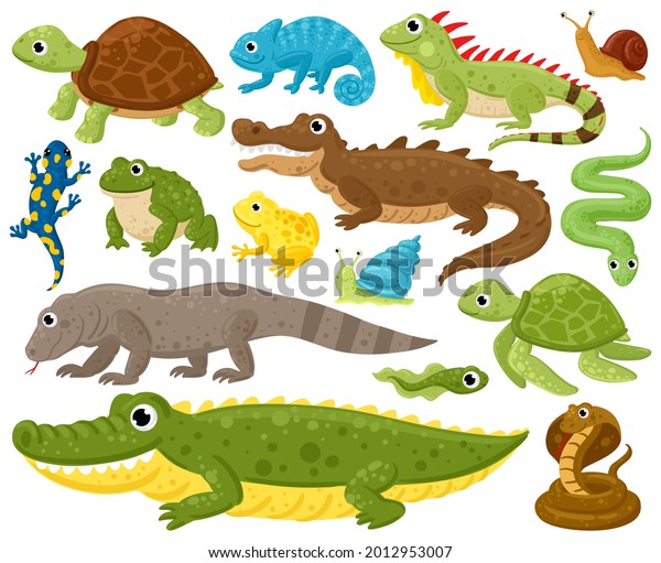 Cartoon amphibians and reptiles. Serpent,\
reptile and amphibians, frog, iguana and python vector illustration\
set. Wildlife reptiles and amphibians. Reptile and amphibian\
lizard, animal\
wildlife