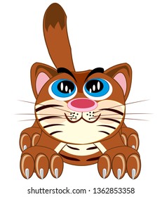 Cartoon of the amusing cat on white background is insulated