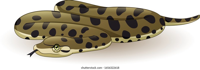 Cartoon anaconda snake on white background