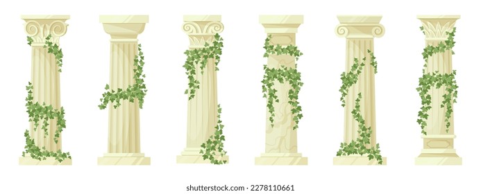 Columnas romanas antiguas. Columnas griegas clásicas cubiertas de hiedra antigua con ramas de hiedra escalada conjunto de ilustración vectorial plana