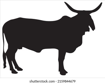 Cartoon angry bull. illustration on white background.eps