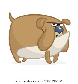 Cartoon angry and funny bulldog illustration. Vector isolated on white