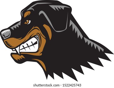 cartoon of an angry rottweiler dog