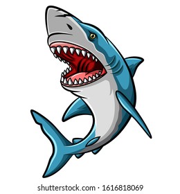 Cartoon angry shark mascot on white background
