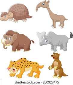 Cartoon animal collection set