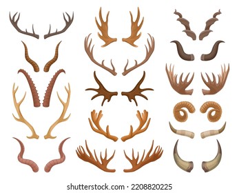 Cartoon animal horns, goat, reindeer, antelope and moose horn. Wild mammals antlers, hunting trophy flat vector symbols set. Animal horns collection