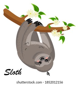 Cartoon animal sloth. Adorable rainforest animals at zoo. Funny childish character.