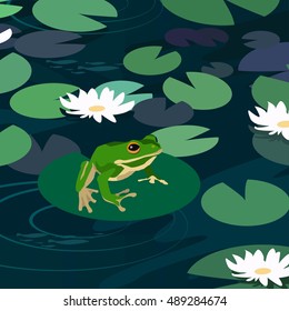 Cartoon animal vector illustration frog in a pond 