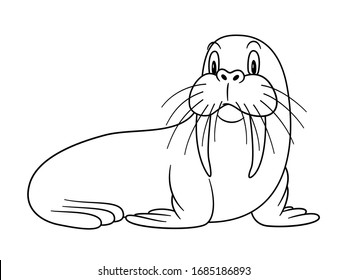 Cartoon Animal Walrus. Vector illustration. For pre school education, kindergarten and kids and children. Coloring page and books, zoo topic. With smiling happy face, friendly arctic and polar mammal