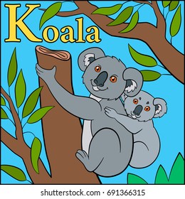 Cartoon animals alphabet. K is for Koala.