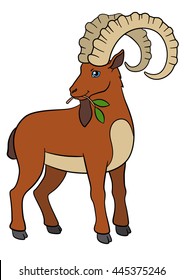 Cartoon animals. Cute ibex with great horns eat leaves.