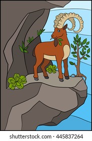 Cartoon animals. Cute ibex with great horns eat leaves on the rock.
