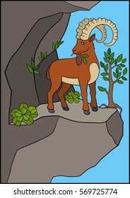 Cartoon animals. Cute ibex with great horns eat leaves on the rock.