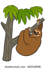 Cartoon animals. Cute lazy sloth hangs on the tree branch and smiles.