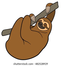 Cartoon animals. Cute lazy sloth hangs on the tree branch and smiles.