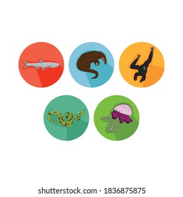 Icono de los animales de caricatura con Anchovy, Pangolin, Gibbon, Snake, Jellyfish