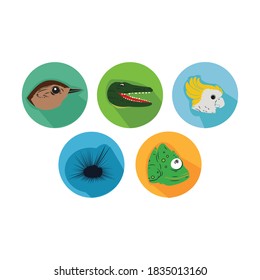 Caricatura Animales Paquete de iconos con pájaro canto, cocodrilo, loro, erizo de mar, camaleón