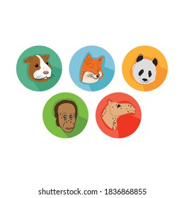 Cartoon Animals Icon Bundle with Guinea pig, Fox, Panda, Orangutan, Camel