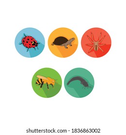 Cartoon Animes Symbol Paket mit Ladybug, Schildkröte, Spider, Biene, Katfisch